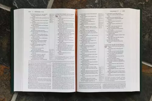 NASB, The Grace and Truth Study Bible (Trustworthy and Practical Insights), Large Print, Hardcover, Green, Red Letter, 1995 Text, Comfort Print