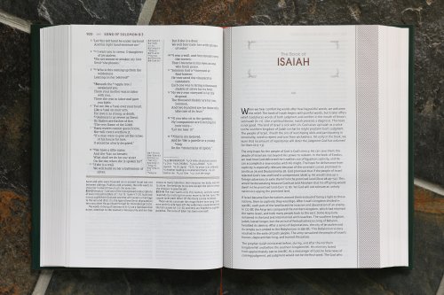 NASB, The Grace and Truth Study Bible (Trustworthy and Practical Insights), Large Print, Hardcover, Green, Red Letter, 1995 Text, Comfort Print