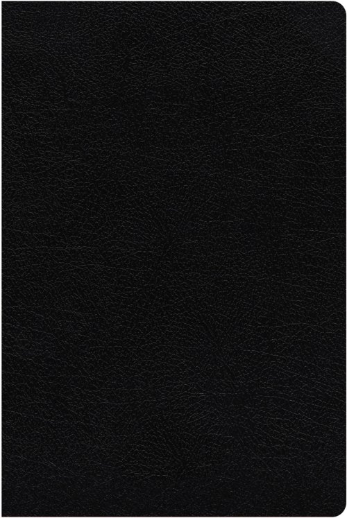 NIV Study Bible, Fully Revised Edition (Study Deeply. Believe Wholeheartedly.), Large Print, Bonded Leather, Black, Red Letter, Comfort Print