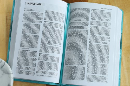 NIV Premium Gift Bible, Leathersoft, Blue, Red Letter Edition, Comfort Print