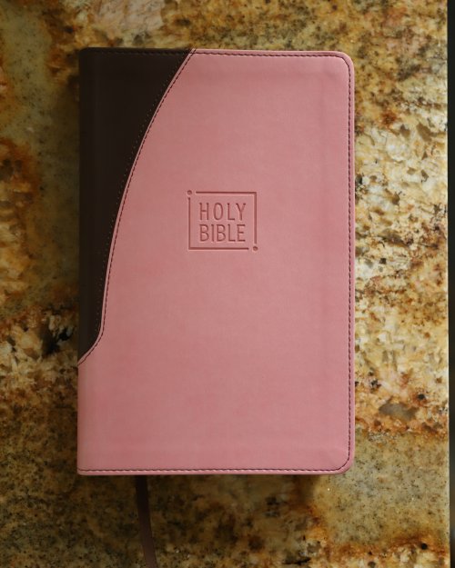 Niv, Premium Gift Bible, Leathersoft, Pink/Brown, Red Letter Edition, Indexed, Comfort Print