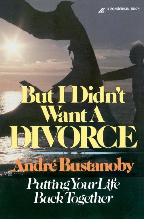 But I Didn't Want a Divorce