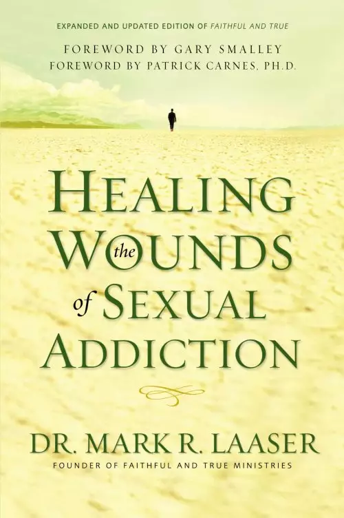 Healing the Wounds of Sexual Addiction paperback