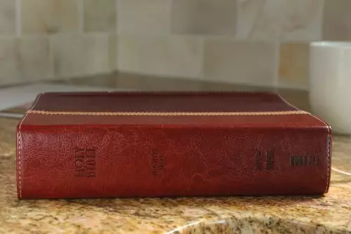 NIV, The Message, Parallel Study Bible, Imitation Leather, Brown/Red, Lay Flat