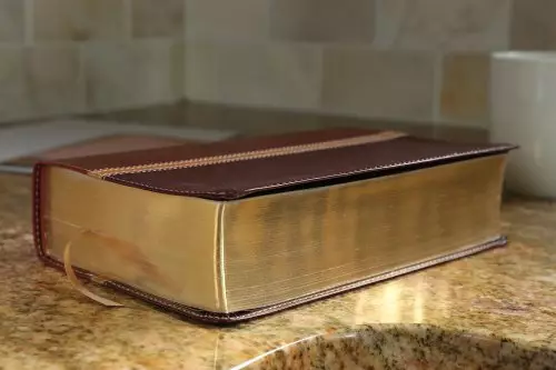 NIV, The Message, Parallel Study Bible, Imitation Leather, Brown/Red, Lay Flat