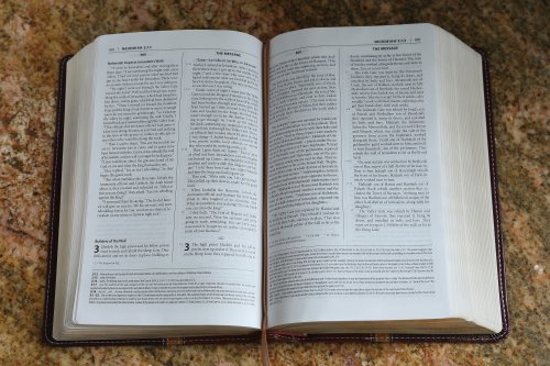 NIV, The Message, Parallel Study Bible, Imitation Leather, Brown/Red, Lay Flat