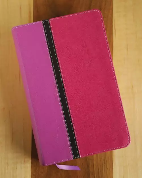 NIV, The Message, Parallel Study Bible, Imitation Leather, Pink/Red, Lay Flat