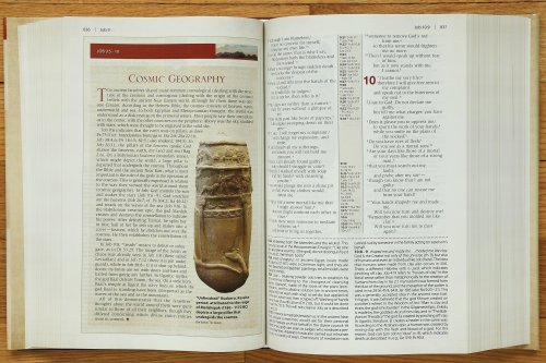 NIV, Cultural Backgrounds Study Bible, Red Letter Edition