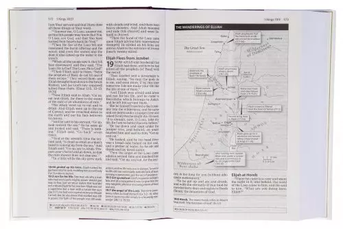 Amplified Study Bible, Brown, Hardback, Large Print, Study and Practical Theological Notes, Book Introductions, Translators' Footnotes, Topical Index, Full-Colour Maps