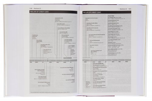 Amplified Study Bible, Brown, Hardback, Large Print, Study and Practical Theological Notes, Book Introductions, Translators' Footnotes, Topical Index, Full-Colour Maps