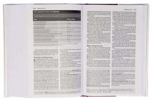 Amplified Study Bible, Brown, Hardback, Large Print, Study and Practical Theological Notes, Book Introductions, Translators' Footnotes, Topical Index, Full-Colour Maps