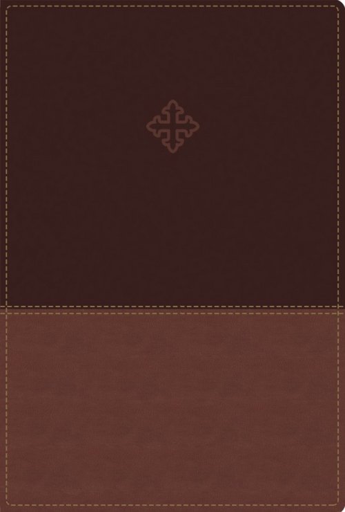 Amplified Study Bible, Imitation Leather, Brown