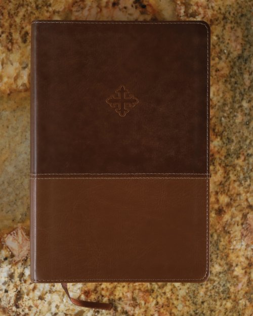 Amplified Study Bible, Imitation Leather, Brown