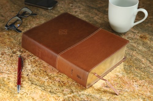 Amplified Study Bible, Imitation Leather, Brown