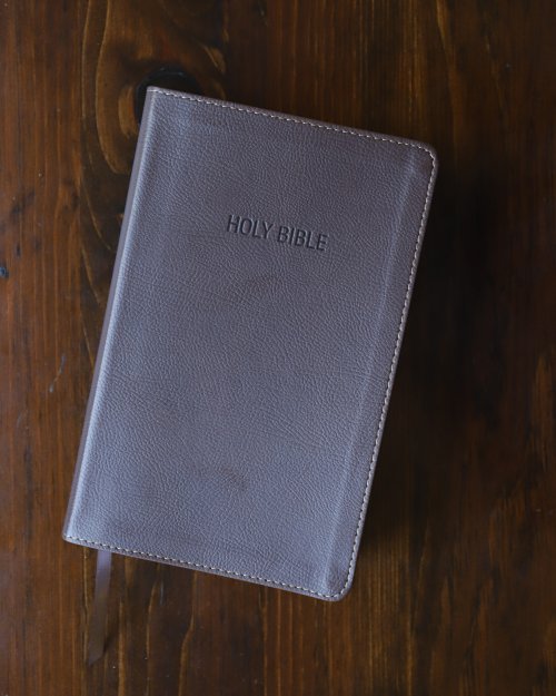 NIV, Foundation Study Bible, Imitation Leather, Brown, Red Letter Edition