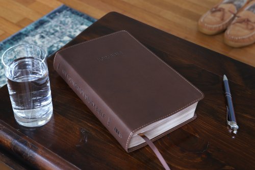 NIV, Foundation Study Bible, Imitation Leather, Brown, Red Letter Edition