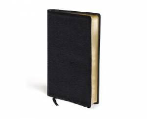 Amplified Thinline Holy Bible: Black, Bonded Leather