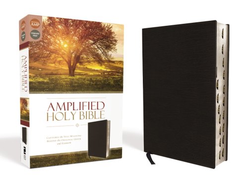 Amplified Thinline Holy Bible: Thumb Indexed, Silver Edges