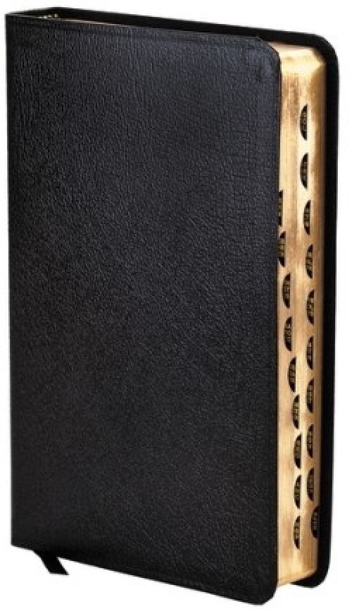 Amplified Thinline Holy Bible: Thumb Indexed, Silver Edges