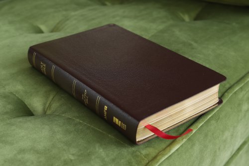 Amplified Thinline, Bible Burgundy, Bonded Leather, Translation Introduction, Presentation Page, Ribbon Marker, Gilt Edges