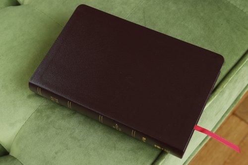 Amplified Thinline Holy Bible: Burgundy, Bonded Leather, Thumb Indexed