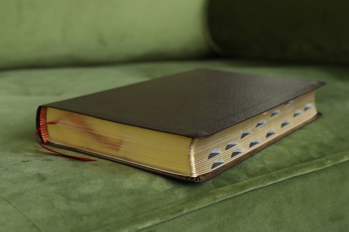 Amplified Thinline Holy Bible: Burgundy, Bonded Leather, Thumb Indexed