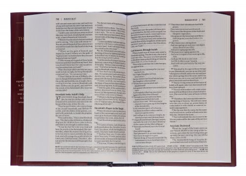 Amplified Bible Compact, Brown, Hardback, Footnotes, Presentation Page, Translation Introduction