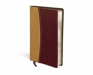 Amplified Compact Holy Bible: Camel/Burgundy, Imitation Leather