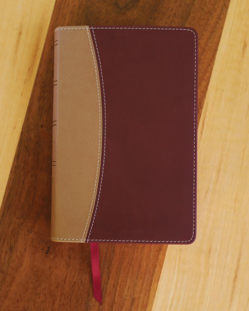 Amplified Compact Holy Bible: Camel/Burgundy, Imitation Leather