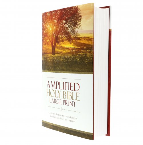 Amplified Bible, Brown, Hardback, Large Print, Footnotes, Book Introductions, Bibliography, Glossary, Devotional Insights