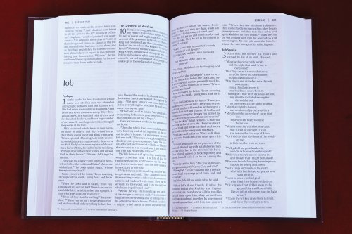 NIV, Church Bible (Value Pew Bible), Hardcover, Burgundy