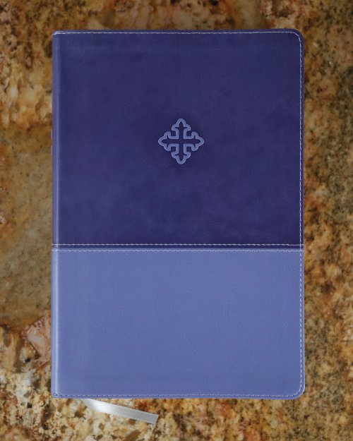 Amplified Study Bible, Imitation Leather, Purple