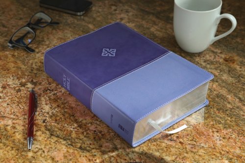 Amplified Study Bible, Imitation Leather, Purple