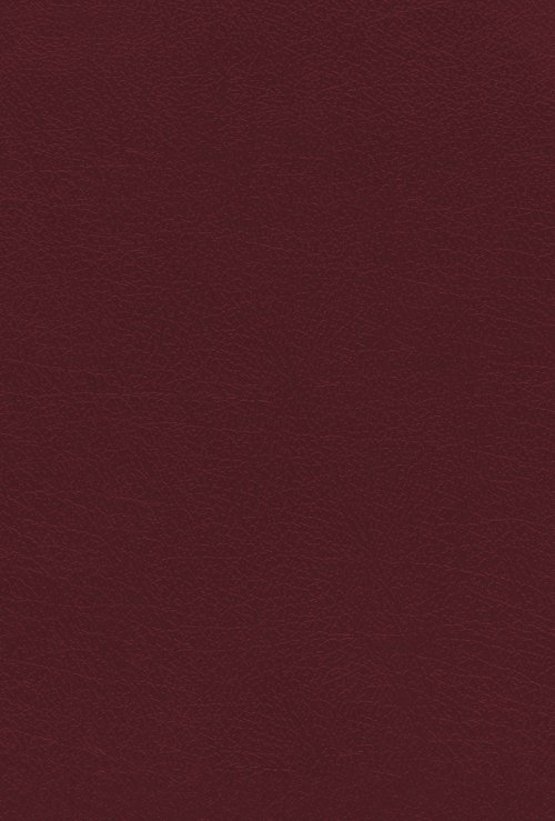 NIV, KJV, NASB, Amplified, Parallel Bible, Bonded Leather, Burgundy