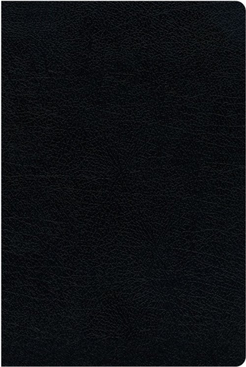 KJV, Amplified, Parallel Bible - Large Print, Bonded Leather, Black, Red Letter Edition