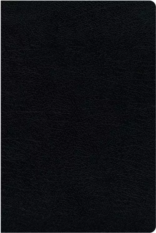 KJV, Amplified, Parallel Bible - Large Print, Bonded Leather, Black, Red Letter Edition