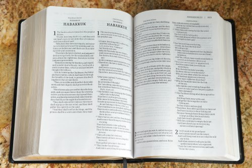 KJV, Amplified, Parallel Bible - Large Print, Bonded Leather, Black, Red Letter Edition