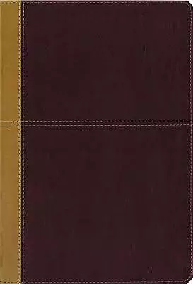 KJV, Amplified, Parallel Bible, Large Print