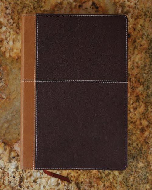 KJV, Amplified, Parallel Bible, Large Print