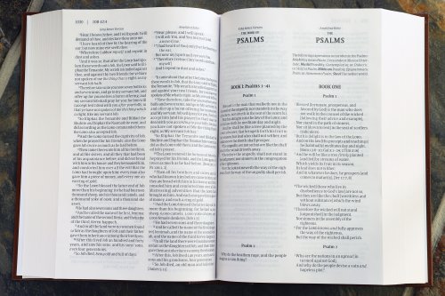 KJV Amplified Parallel Bible Orange Hardback Large Print Study Two-Column Format Red Letter Bible