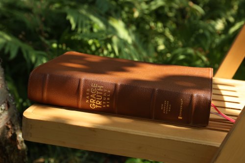 NASB, The Grace and Truth Study Bible, Premium Goatskin Leather, Brown, Premier Collection, Black Letter, 1995 Text, Art Gilded Edges, Comfort Print