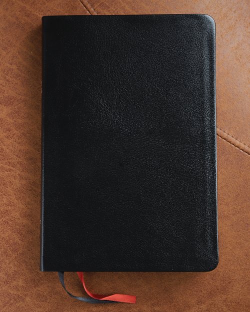 NIV, Thinline Bible, Large Print, Bonded Leather, Black, Red Letter Edition