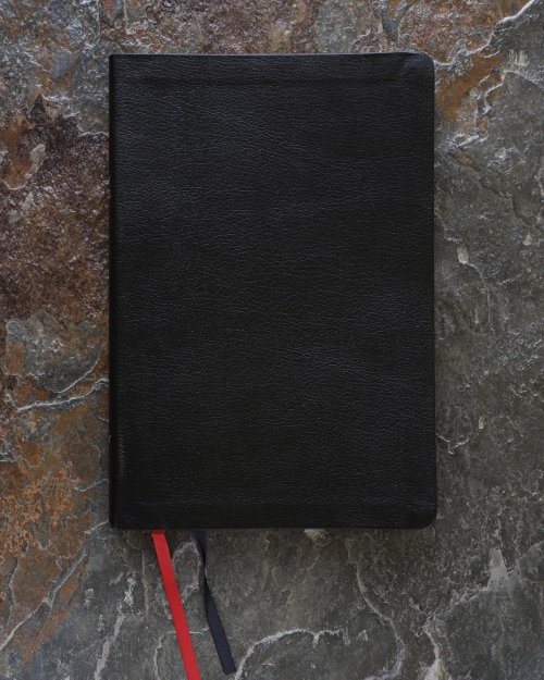 NIV, Thinline Bible, Large Print, Bonded Leather, Black, Indexed, Red Letter Edition