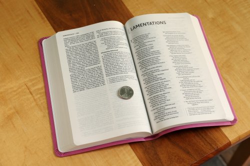 NIV, Value Thinline Bible, Imitation Leather, Pink