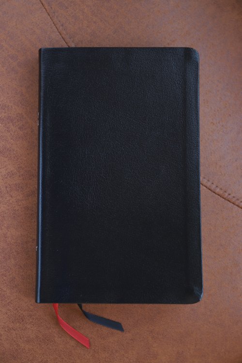 NIV Thinline, Bible, Black, Bonded Leather, Red Letter, Presentation Page, Gilt Edge, Ribbon Markers