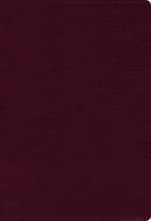 NIV, Thinline Bible, Bonded Leather, Burgundy, Indexed, Red Letter Edition