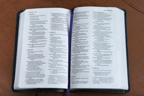 NIV, Thinline Bible, Bonded Leather, Navy, Red Letter Edition, Ribbon Marker