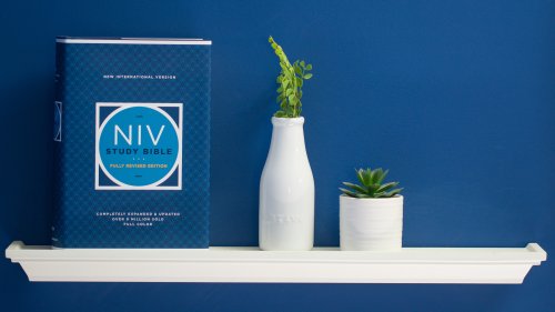 NIV Study Bible, Fully Revised Edition (Study Deeply. Believe Wholeheartedly.), Hardcover, Red Letter, Comfort Print