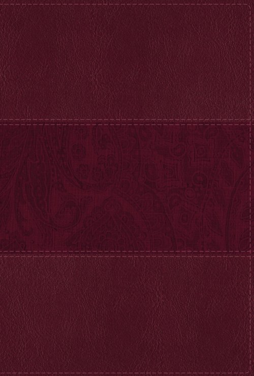 NIV Study Bible, Fully Revised Edition (Study Deeply. Believe Wholeheartedly.), Large Print, Leathersoft, Burgundy, Red Letter, Thumb Indexed, Comfort Print