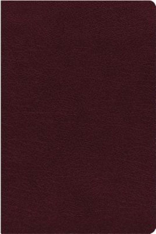 NIV, Reference Bible, Giant Print, Bonded Leather, Burgundy, Red Letter, Thumb Indexed, Comfort Print